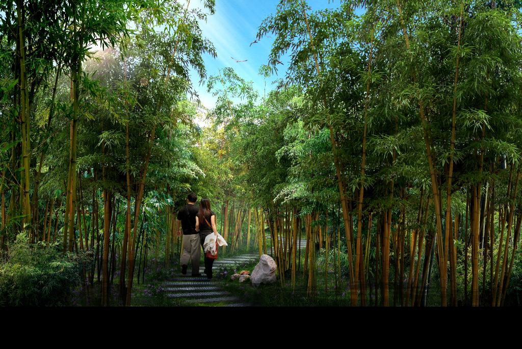 竹林水蜜桃无码在线景观设计http://ydyl.weixin876.com/