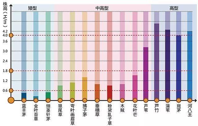 河南景观设计行业设计植物需要注重的问题有哪些？
